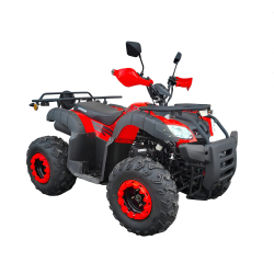 XTR Bashan 200 Quad ATV