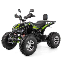 XTR Raptor 250 Automat Quad ATV