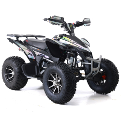 Asix Avatar 250 Quad ATV