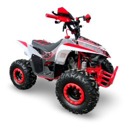 Beretta ATV Kids 110