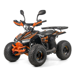 Asix Muddy 110 Quad ATV