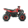 Barton Rocky 125 ATV - 6