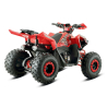 Barton Rocky 125 ATV - 8