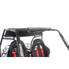 Asix Buggy 200 - 20