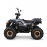 Asix Grizzly 125 1+1 Quad ATV - 3