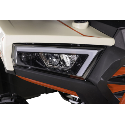Asix Challenger RR 250 Quad ATV - 39