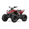 Linhai ATV 110 Quad ATV - 10