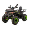 Quad Tao Motor FourCraft 250 200 sportowy