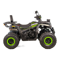 Quad Tao Motor FourCraft 250 200 sportowy