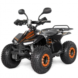 Asix Muddy 110 Quad ATV