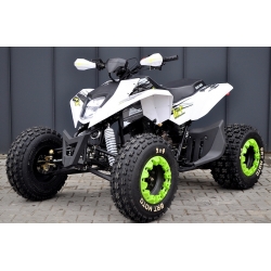 BRT FX Mad Max 250 Quad ATV