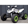 BRT FX Mad Max 250 Quad ATV - 13